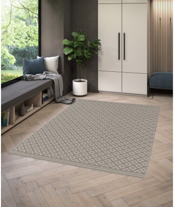 Tapis intérieur extérieur AVA sur le site 