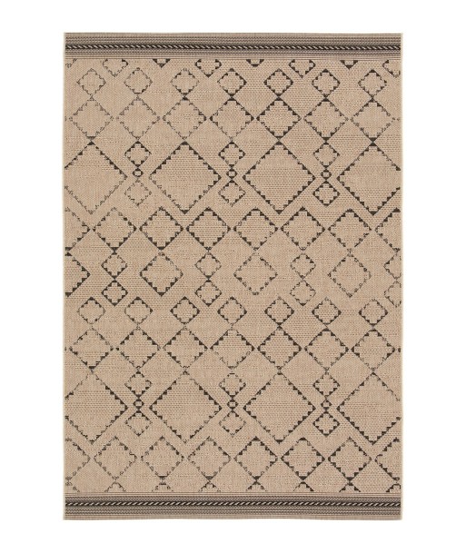 Tapis intérieur extérieur CAPRI Véritable concentré