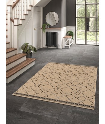 Tapis intérieur extérieur CAPRI Véritable concentré