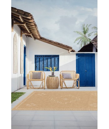 Tapis design aspect jute intérieur extérieur ARID Paris Déstockage Promo