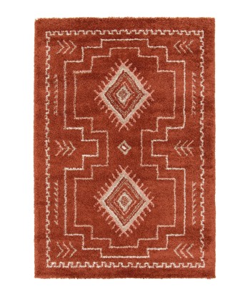 Tapis shaggy design doux et volumineux SIERRA prix pour 