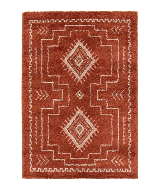 Tapis shaggy design doux et volumineux SIERRA prix pour 