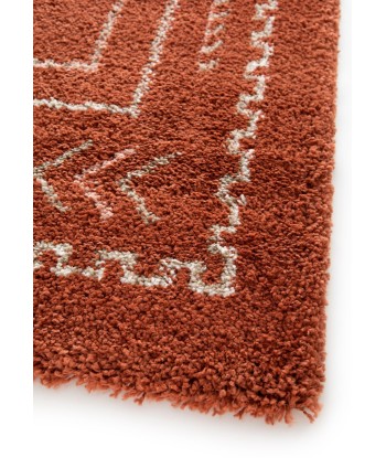 Tapis shaggy design doux et volumineux SIERRA prix pour 