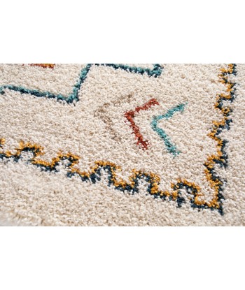 Tapis shaggy design doux et volumineux SIERRA online