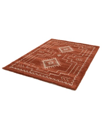 Tapis shaggy design doux et volumineux SIERRA prix pour 