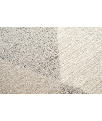 Tapis design ultra doux en fibres recyclées BANFF Venez découvrir notre 