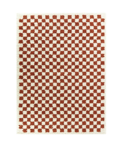 Tapis à poil haut doux et confortable CHECKERS les ligaments