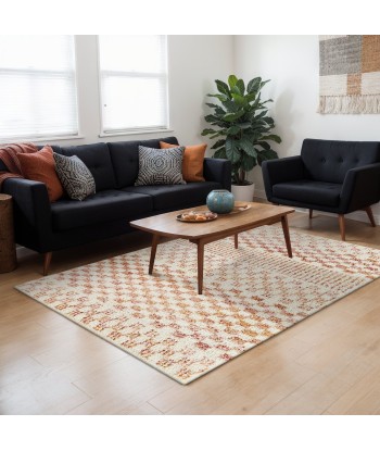 Tapis à poil haut doux et confortable BOHO Economisez 