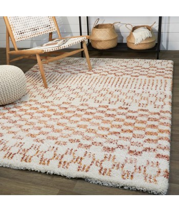 Tapis à poil haut doux et confortable BOHO Economisez 