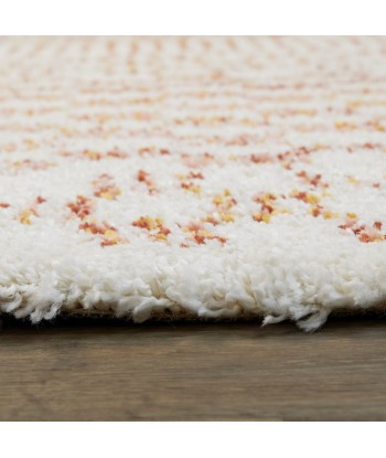 Tapis à poil haut doux et confortable BOHO Economisez 