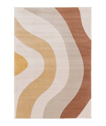 Tapis contemporain très doux FAUVE destockage