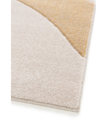 Tapis contemporain très doux FAUVE destockage