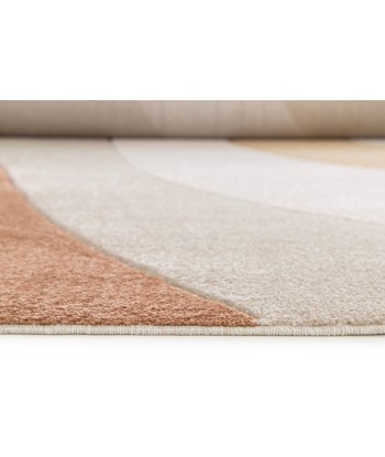 Tapis contemporain très doux FAUVE destockage