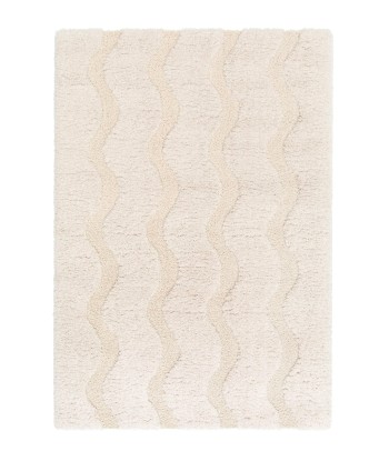 Tapis shaggy ultra doux PEMBERLEY de votre