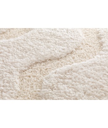 Tapis shaggy ultra doux PEMBERLEY de votre