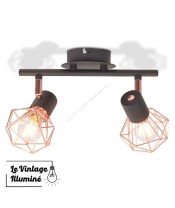 Plafonnier Vintage Avec 2 Ampoules à Filament LED s'inspire de l'anatomie humaine