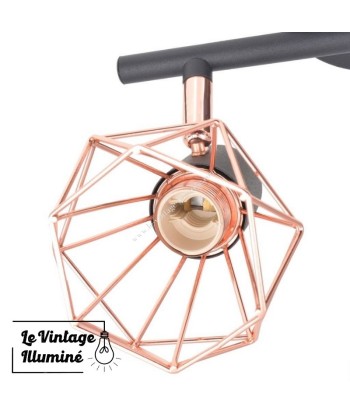 Plafonnier Vintage Avec 2 Ampoules à Filament LED s'inspire de l'anatomie humaine