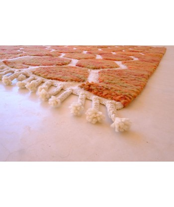 Tapis Berbere marocain pure laine 154 x 251 cm Comparez et commandez 