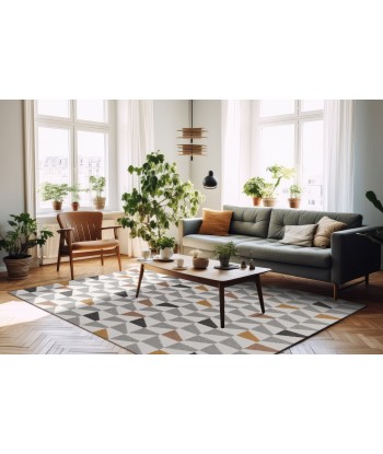 Tapis géometrique de style scandinave NORDIC de l' environnement